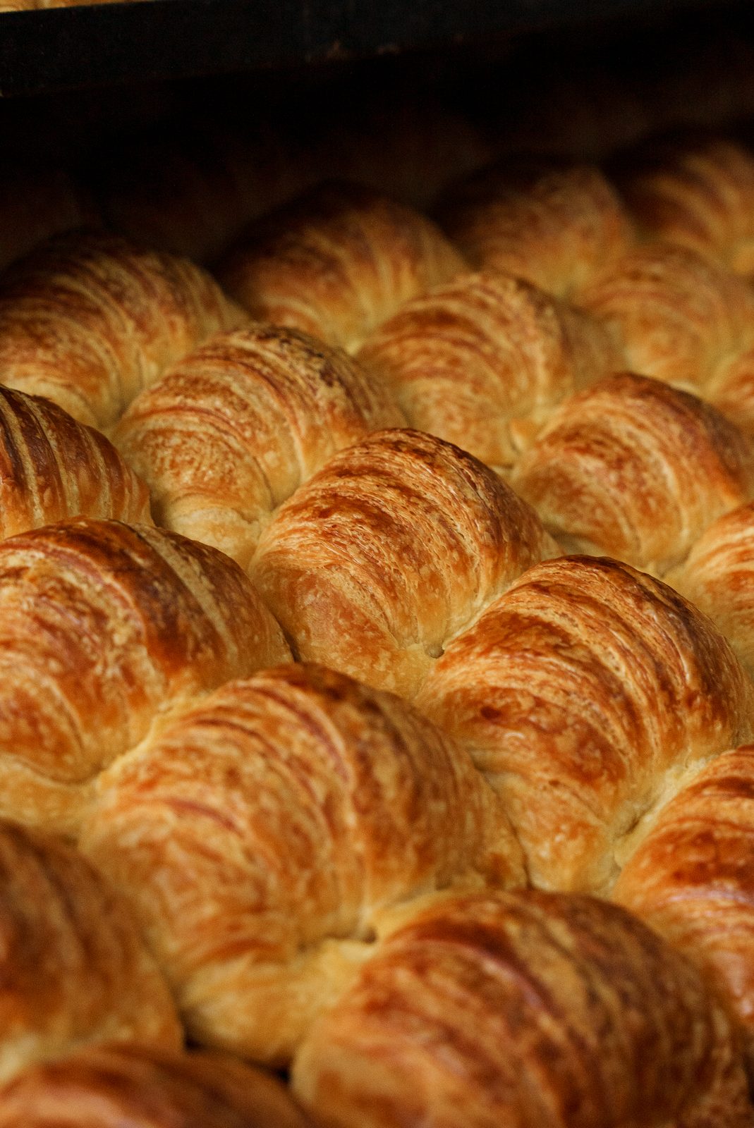Croissants recién horneados